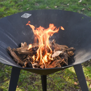 Brasero Neandertal avec bois de grillade en flammes