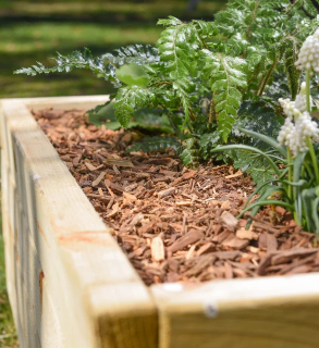Bois de paillage Neandertal dans une jardinière en bois