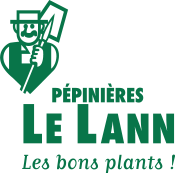 logo Lelann